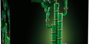 10344 Lucky Bamboo