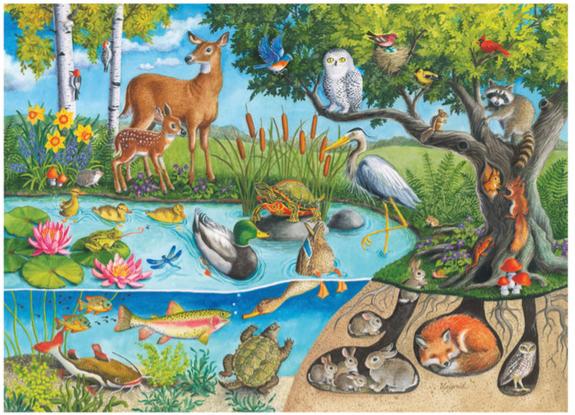 12004100 Animals Above and Below 60pc