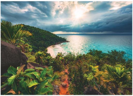 12000157 Hawaiian Heaven 1000pc