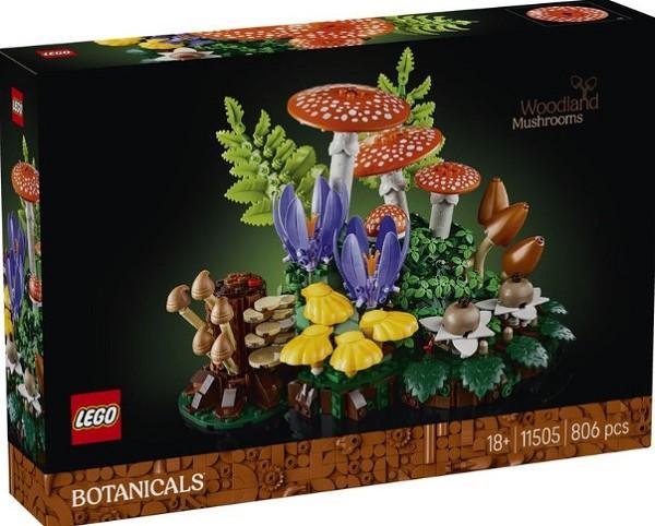 11505 Woodland Mushrooms