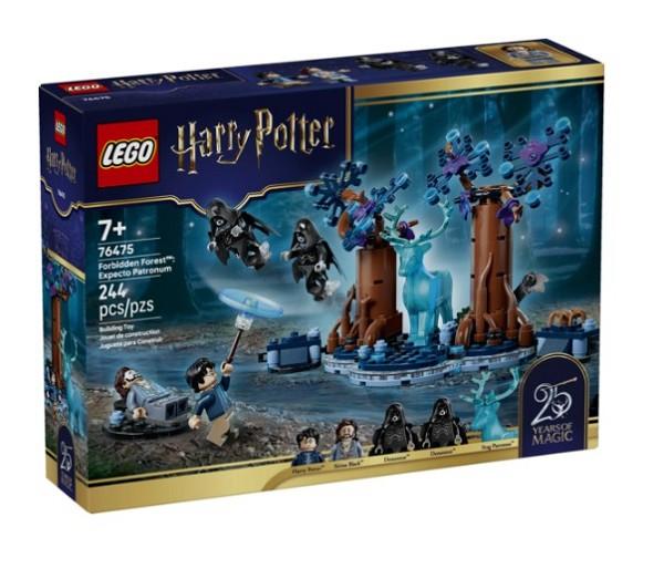 76475 Forbidden Forest